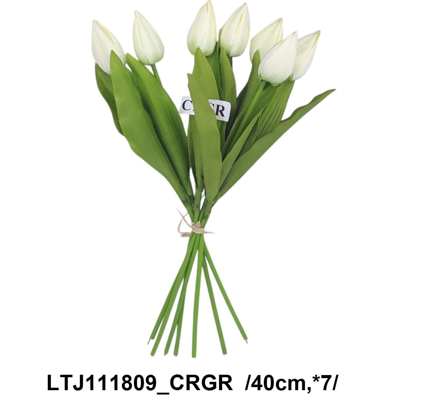 Nagyobb fejû bimbós tulipánköteg /40cm,*7/