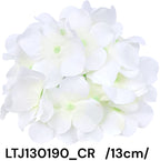 LTJ130190_CR