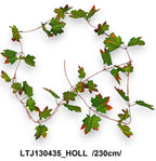 LTJ130435_HOLL