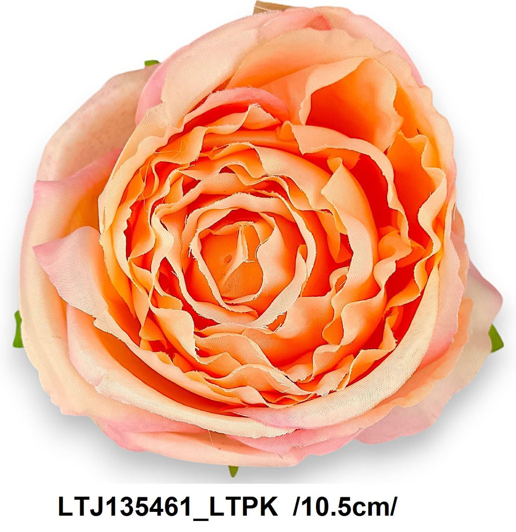 LTJ135461_LTPK