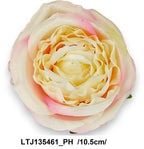 LTJ135461_PH