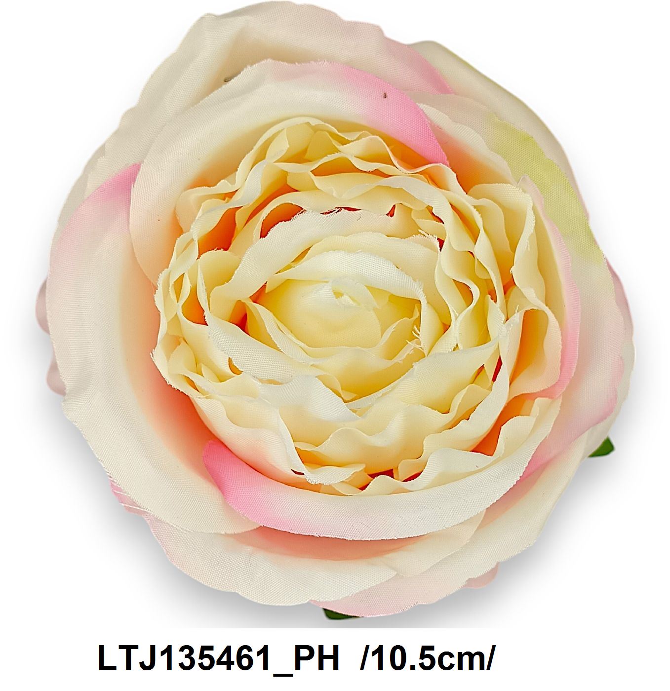 LTJ135461_PH