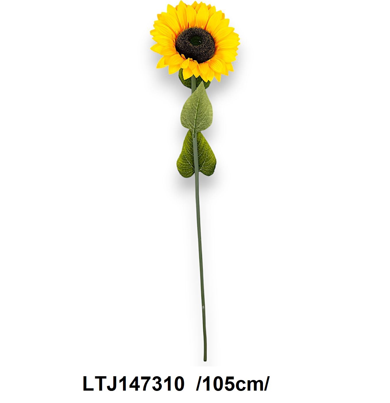 Nagyfejes szálas napraforgó, KD packing /105cm/ Fő kép