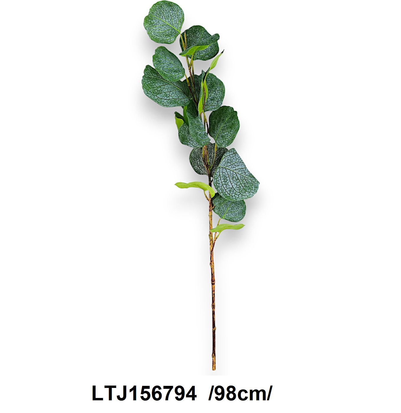 Nagylevelû eukaliptusz, szatén /98cm/