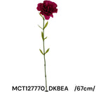 MCT127770_DKBEA