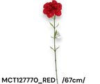 MCT127770_RED