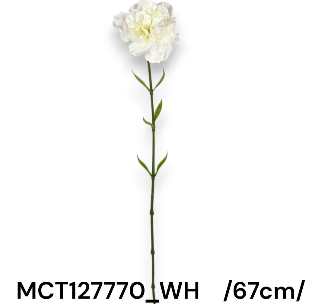 MCT127770_WH