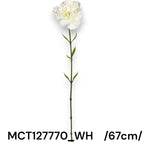 MCT127770_WH