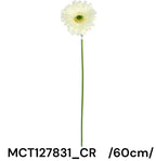 MCT127831_CR