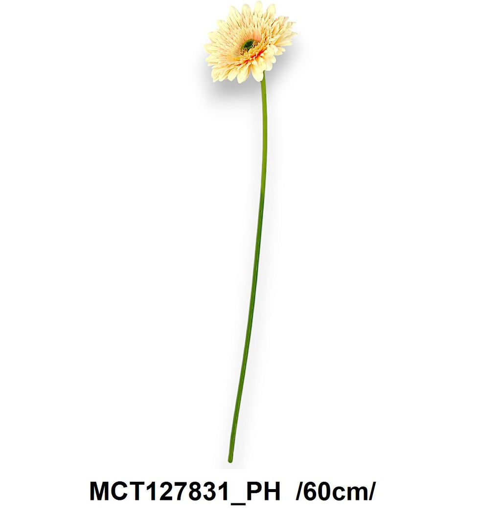 MCT127831_PH