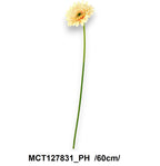 MCT127831_PH