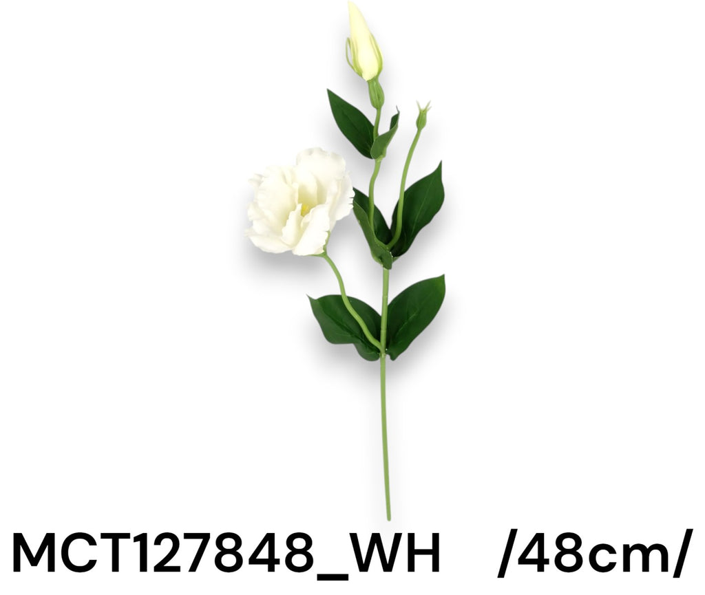 MCT127848_WH