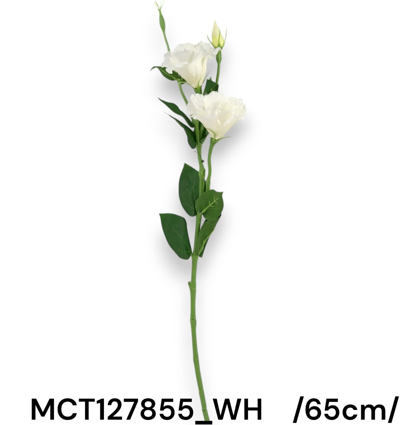Szálas liziantusz, 2 fejjel, bimbóval és levelekkel /65cm/ Fő kép