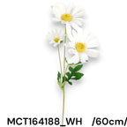 MCT164188_WH