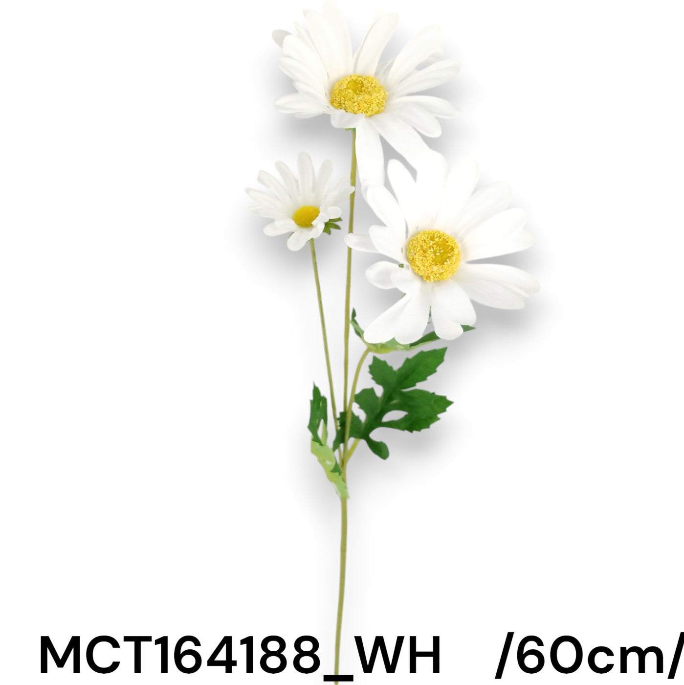 MCT164188_WH