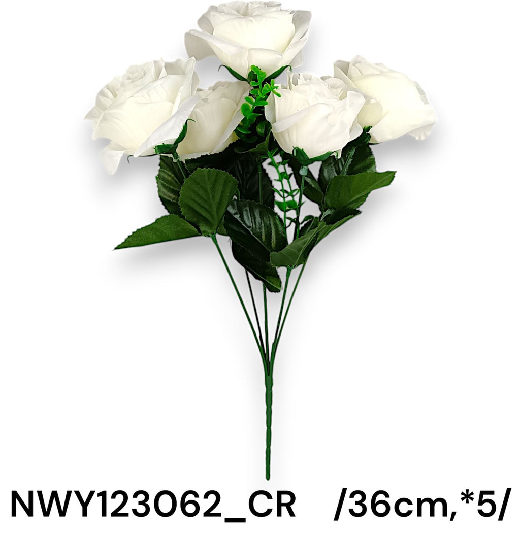 NWY123062_CR