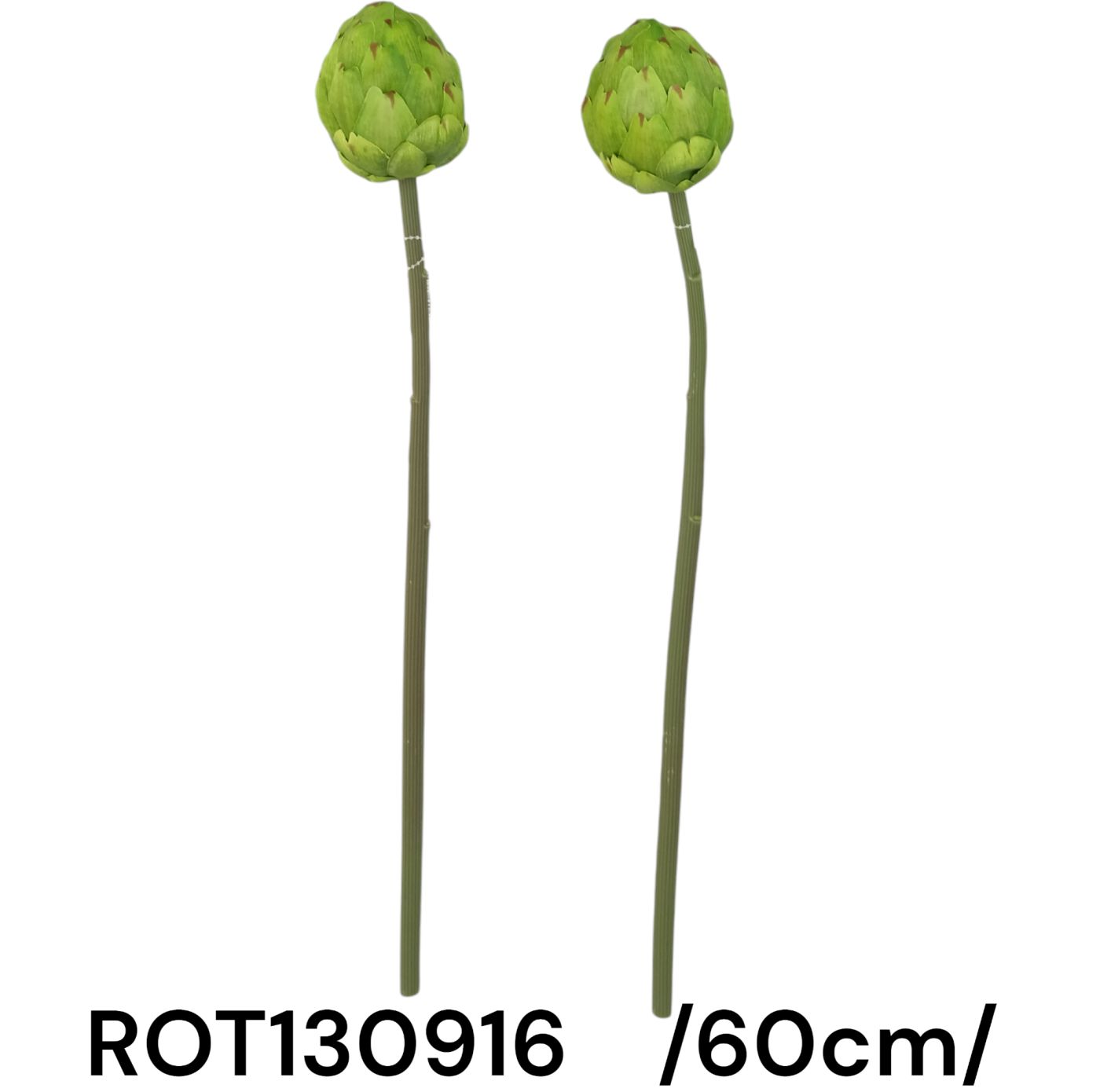 Szálas zárt protea /60cm/