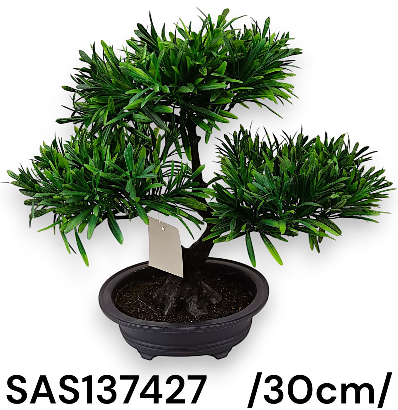 Cserepes bonsai fa /30cm/ Fő kép