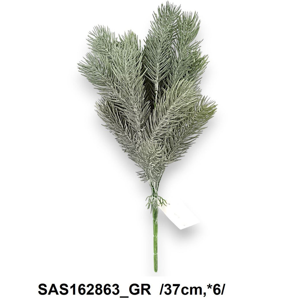 SAS162863_GR