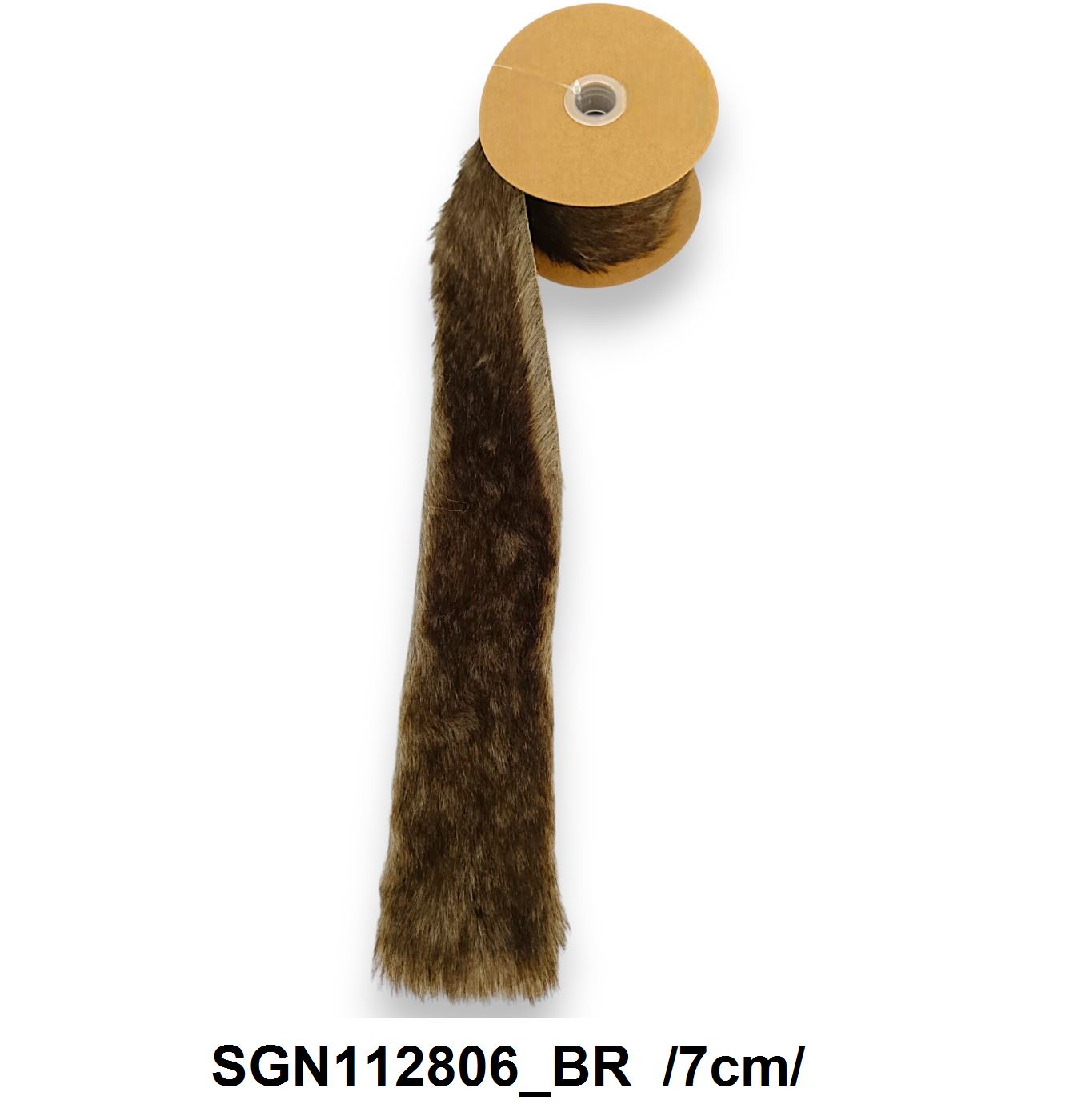 SGN112806_BR
