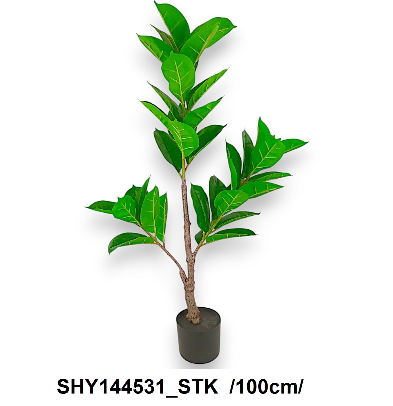 Leveles magnóliafa cseréppel /100cm/ Fő kép