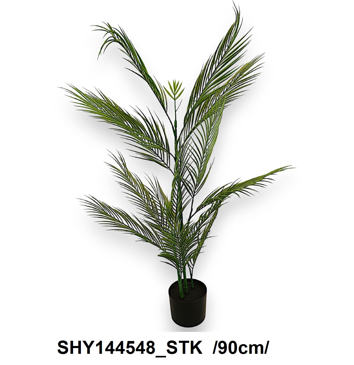 90 cm datolyapálma cserépben Fő kép