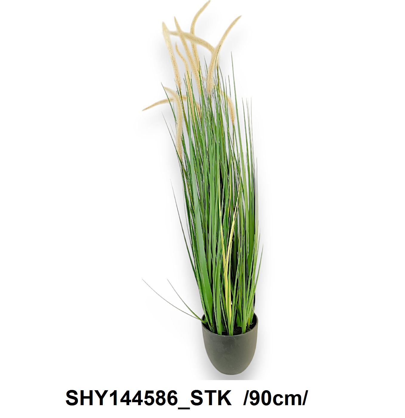 90 cm pampafüves sás cserépben Fő kép