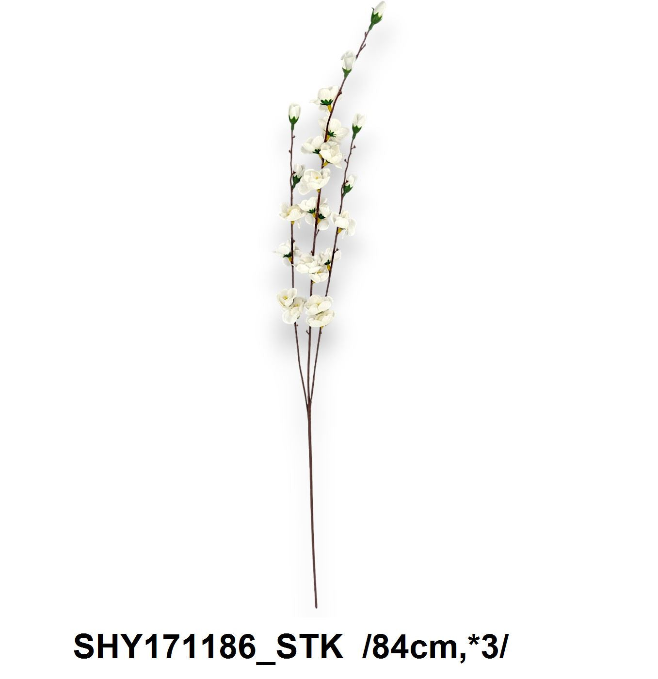 Cseresznyeág /84cm,*3/ Fő kép