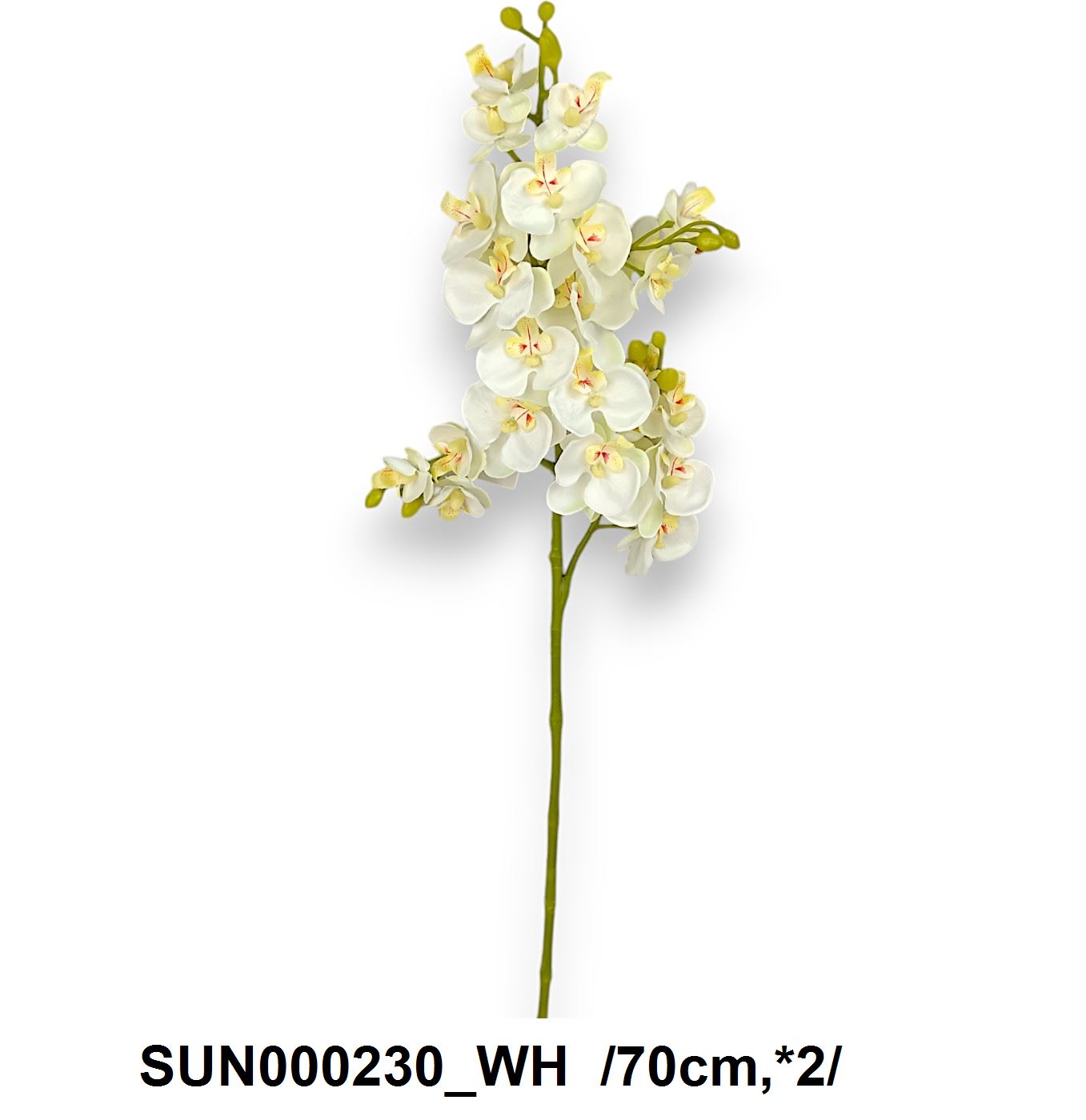 Szálas kisfejû orchidea /70cm,*2/ Fő kép