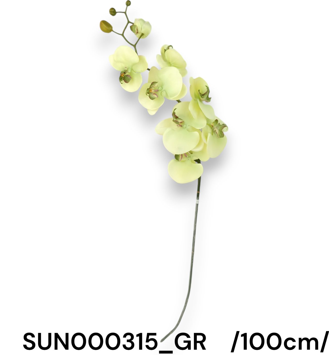 Pillangó orchidea, szálas 7 fejjel és 5 bimbóval, szatén /100cm,*7/