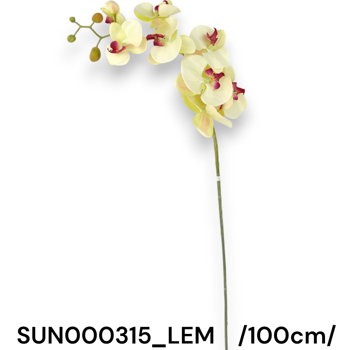 SUN000315_LEM