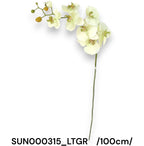 SUN000315_LTGR