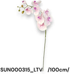 SUN000315_LTV