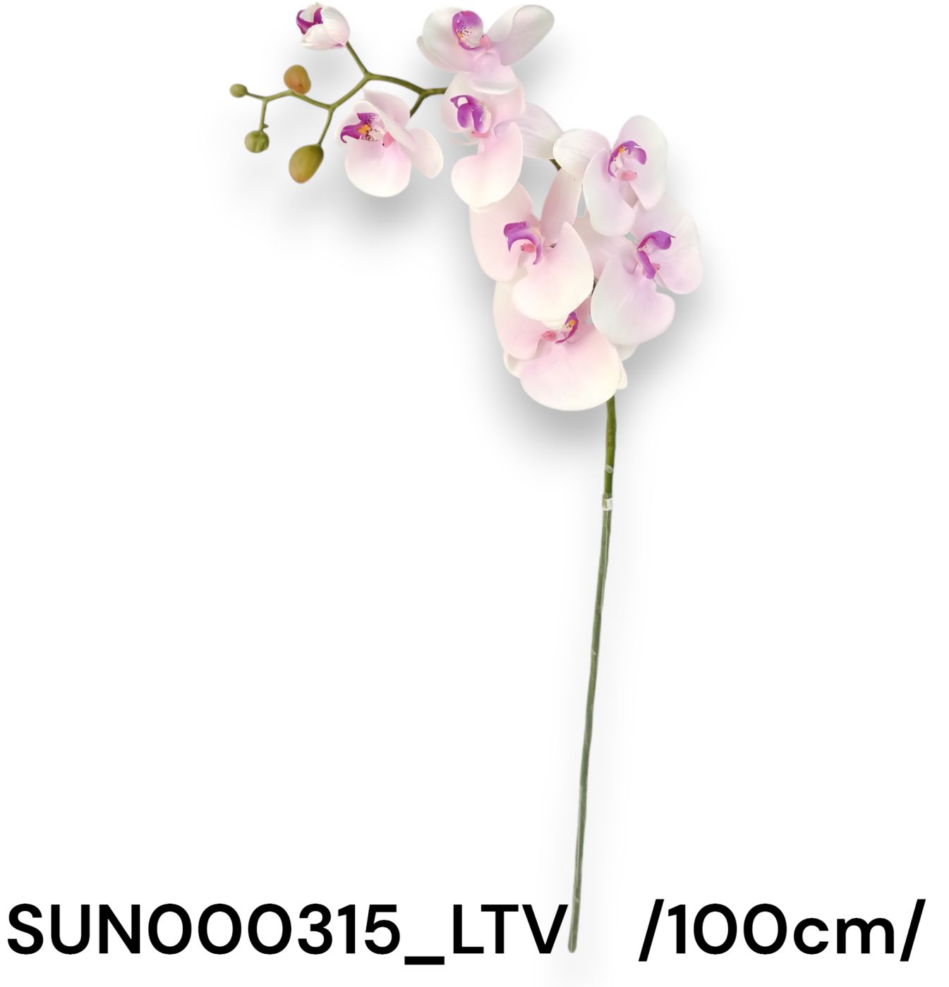 SUN000315_LTV