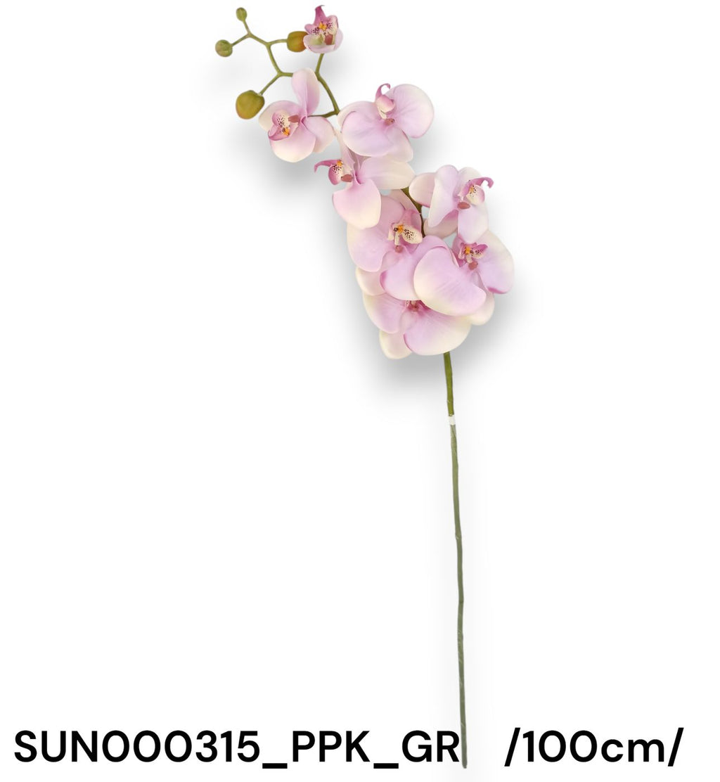 SUN000315_PPK_GR