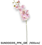 SUN000315_PPK_GR