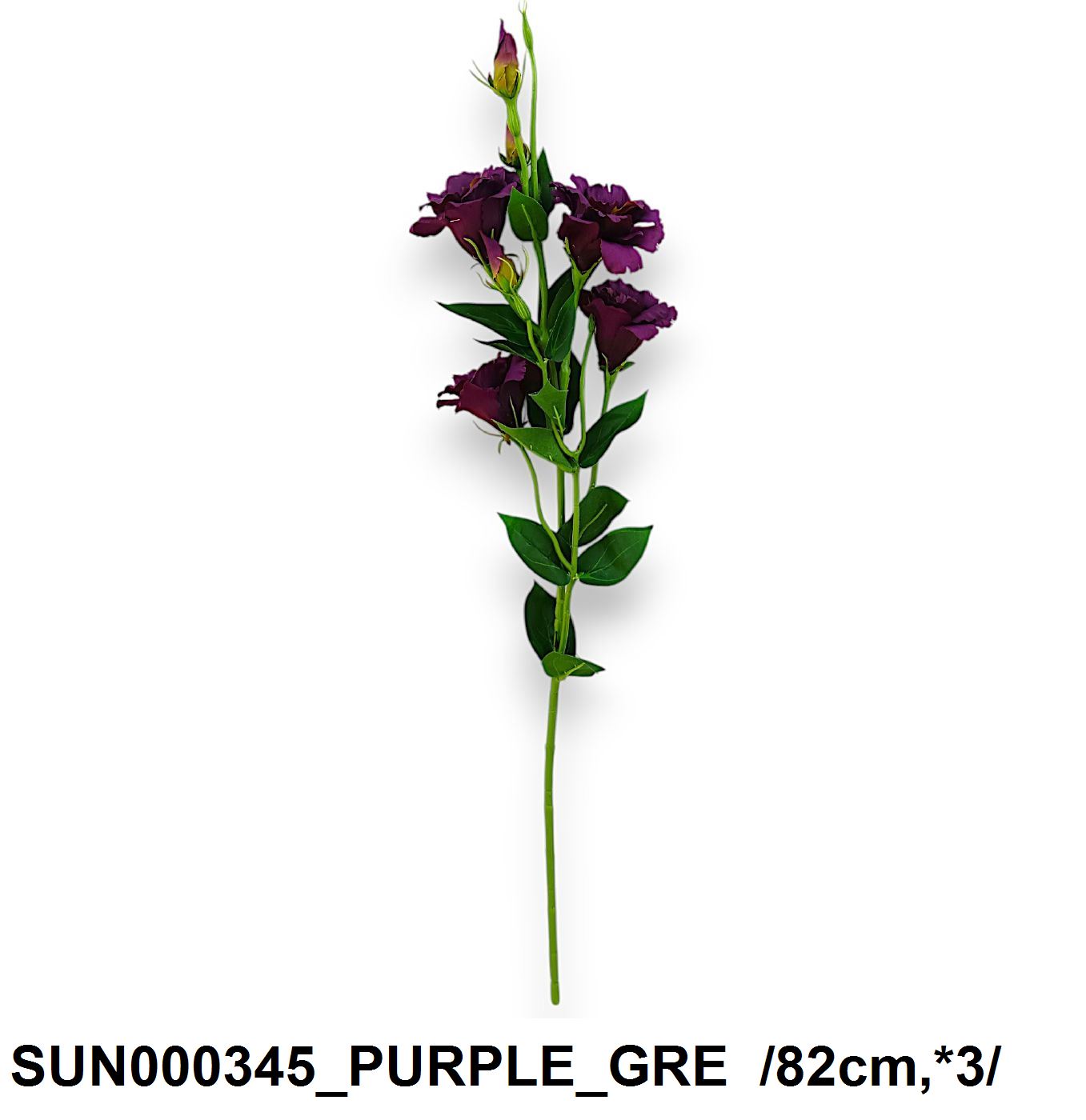SUN000345_PURPLE_GRE