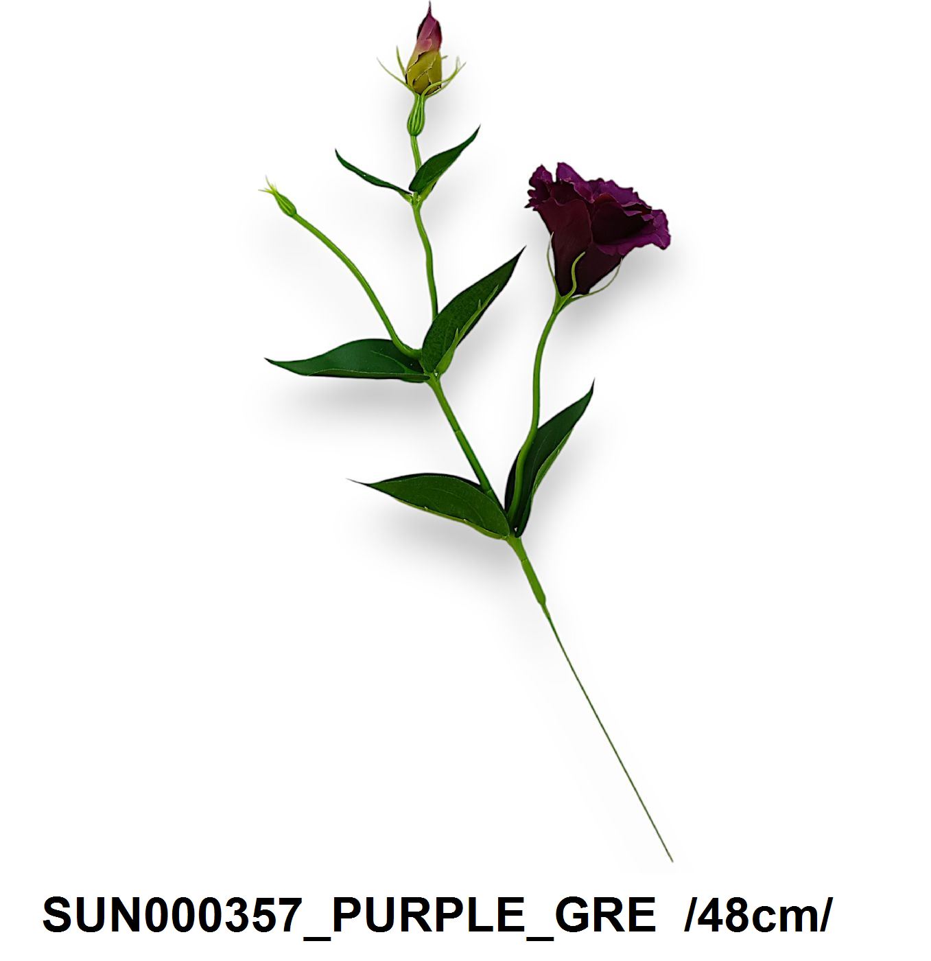 SUN000357_PURPLE_GRE