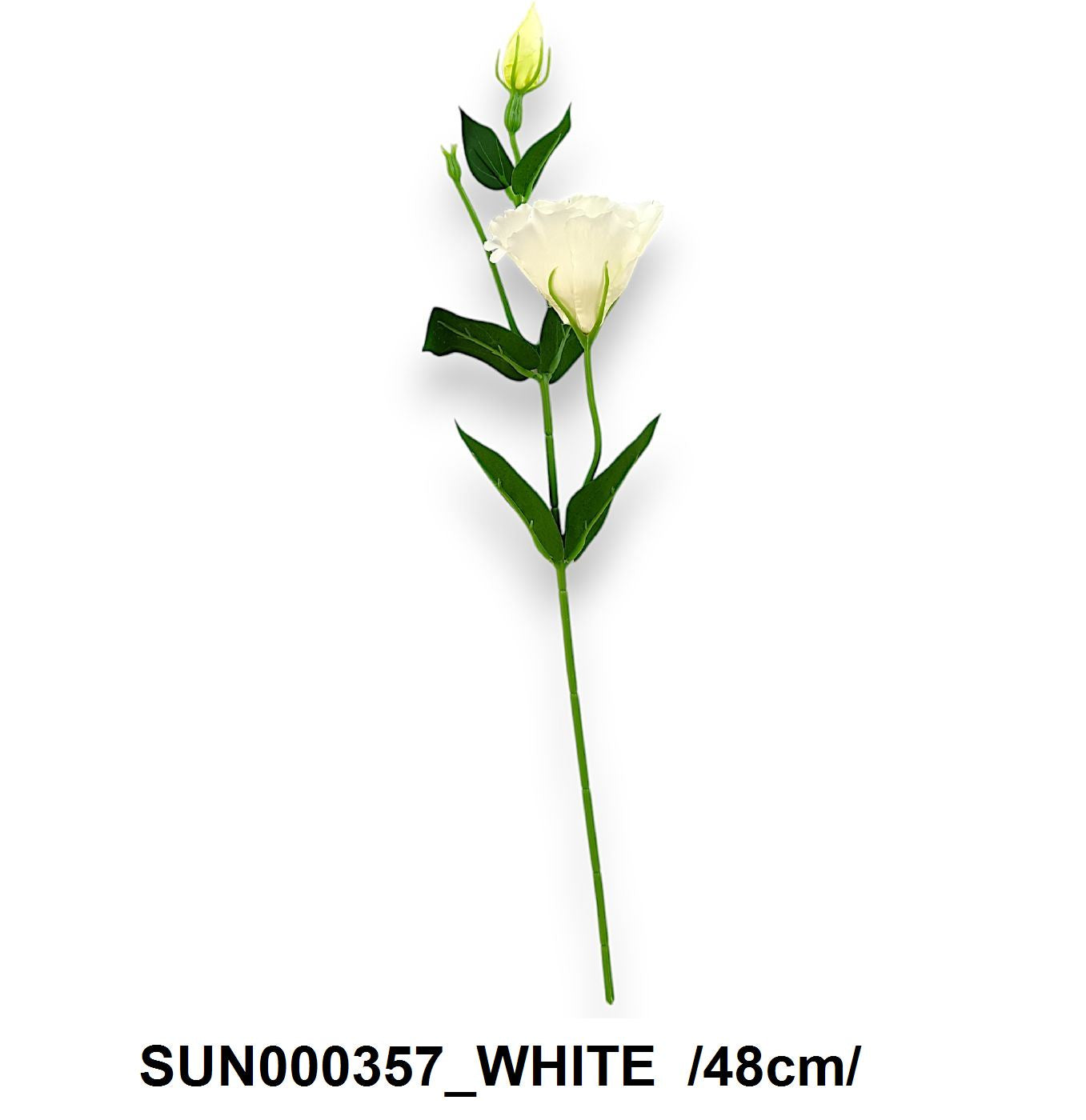 SUN000357_WHITE
