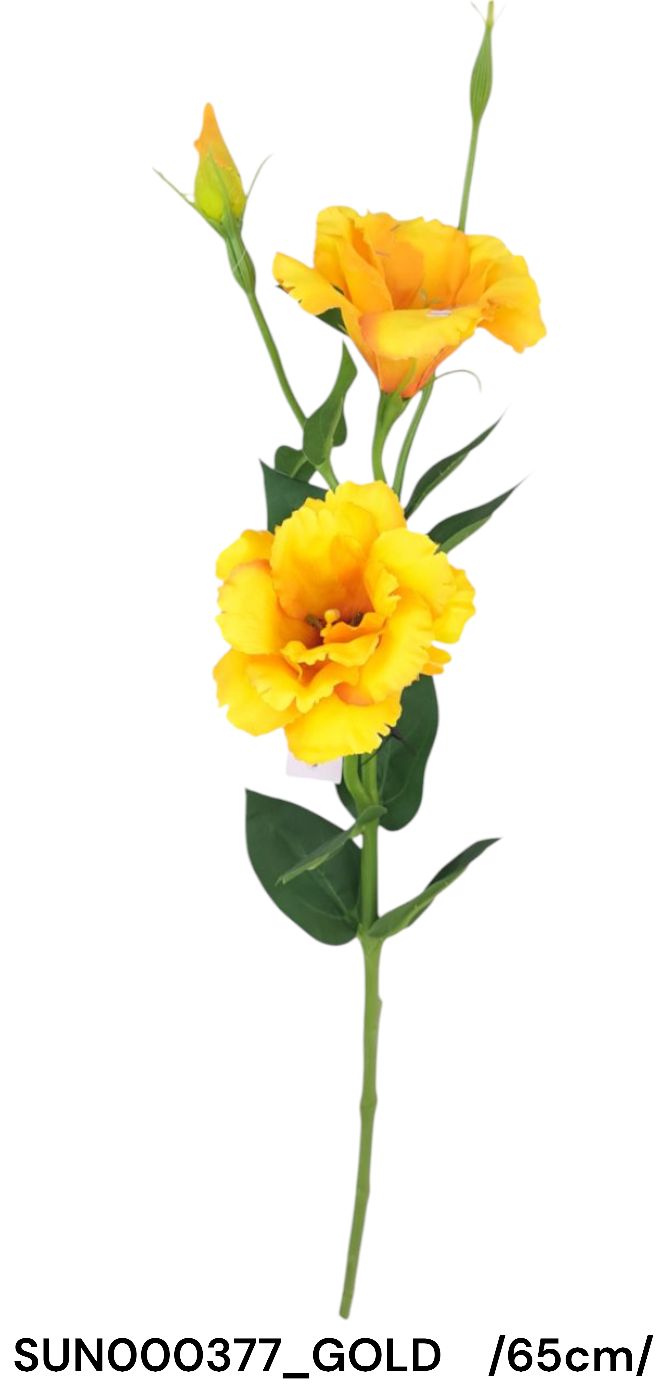 SUN000377_GOLD