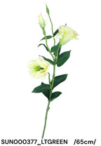 SUN000377_LTGREEN