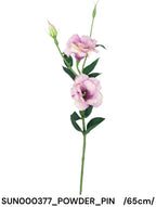SUN000377_POWDER_PIN
