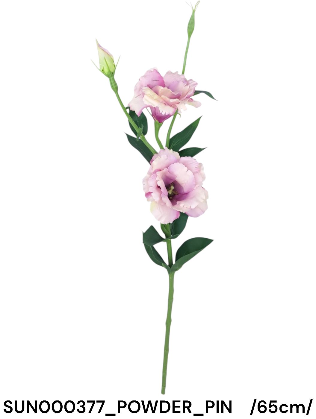 SUN000377_POWDER_PIN