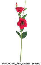 SUN000377_RED_GREEN