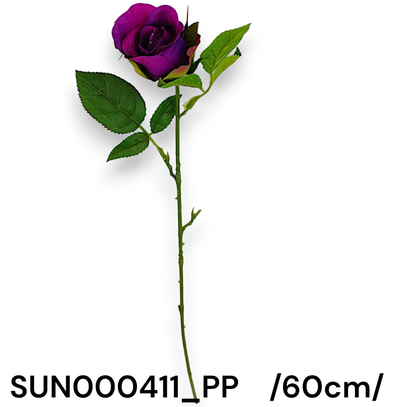 60 cm élethû szál.rózsa +3 lv Fő kép