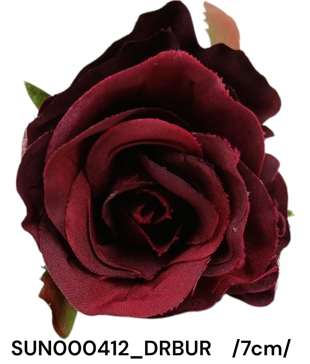 SUN000412_DRBUR