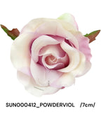 SUN000412_POWDERVIOL