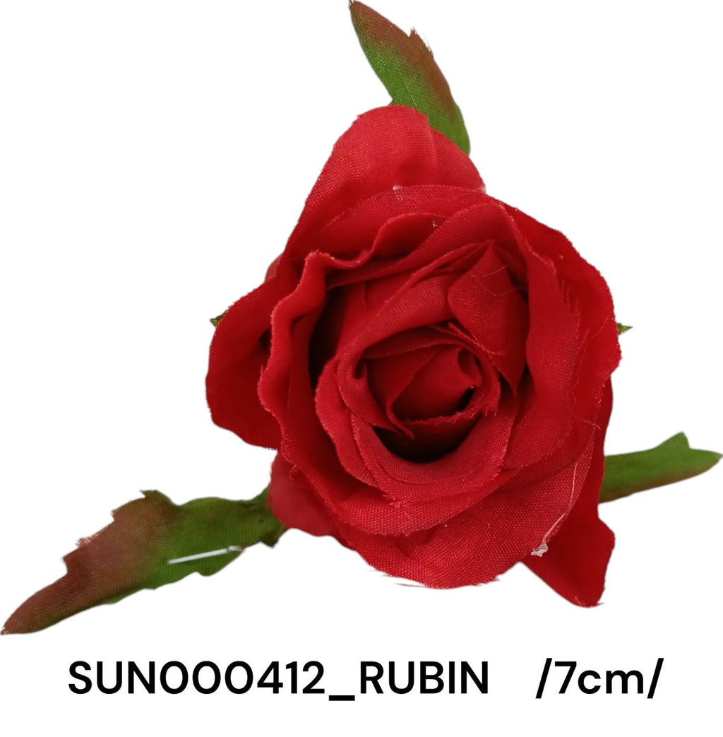 SUN000412_RUBIN