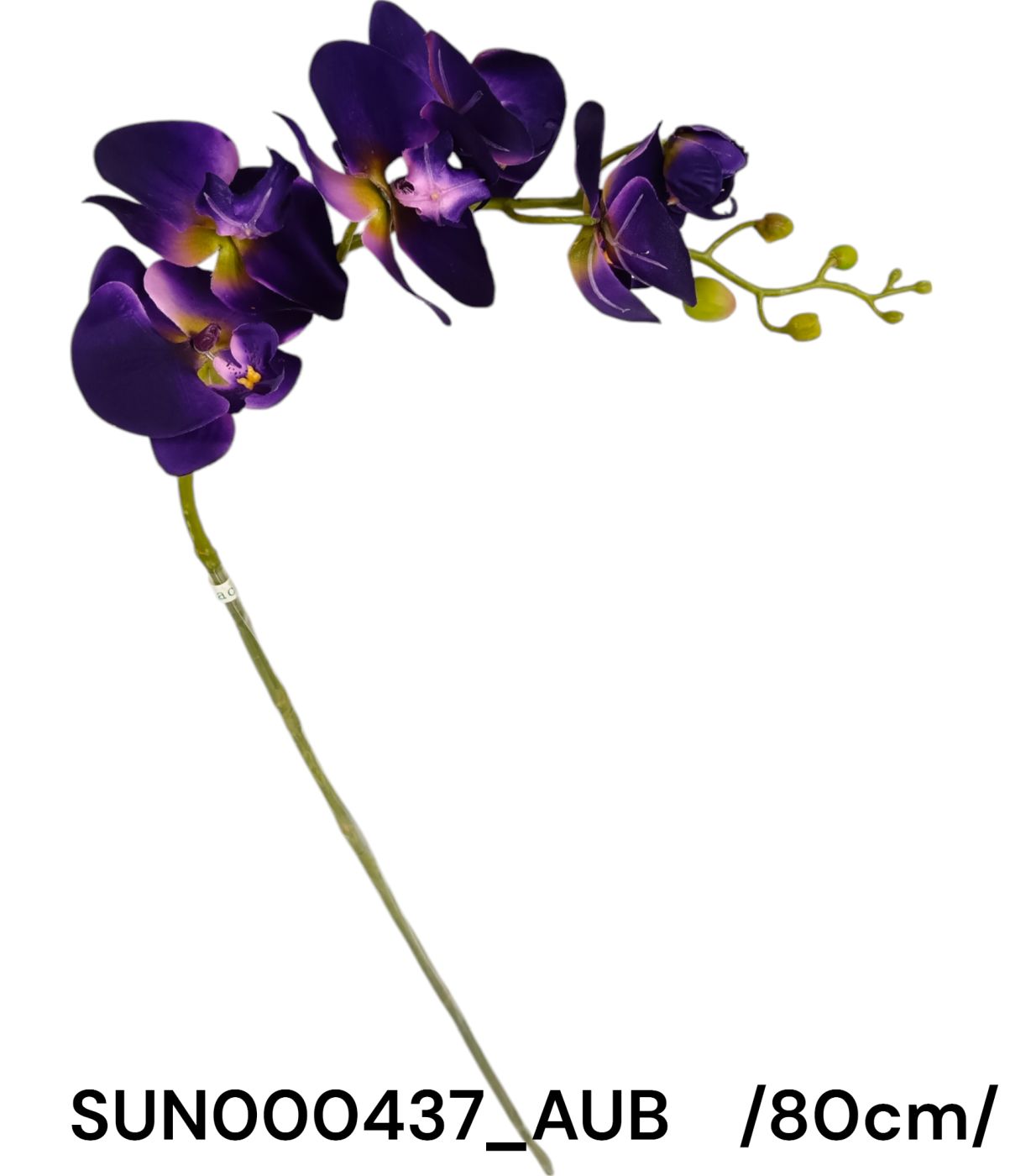 Szálas piliorchidea, 5 virággal /80cm/