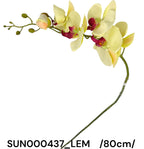SUN000437_LEM